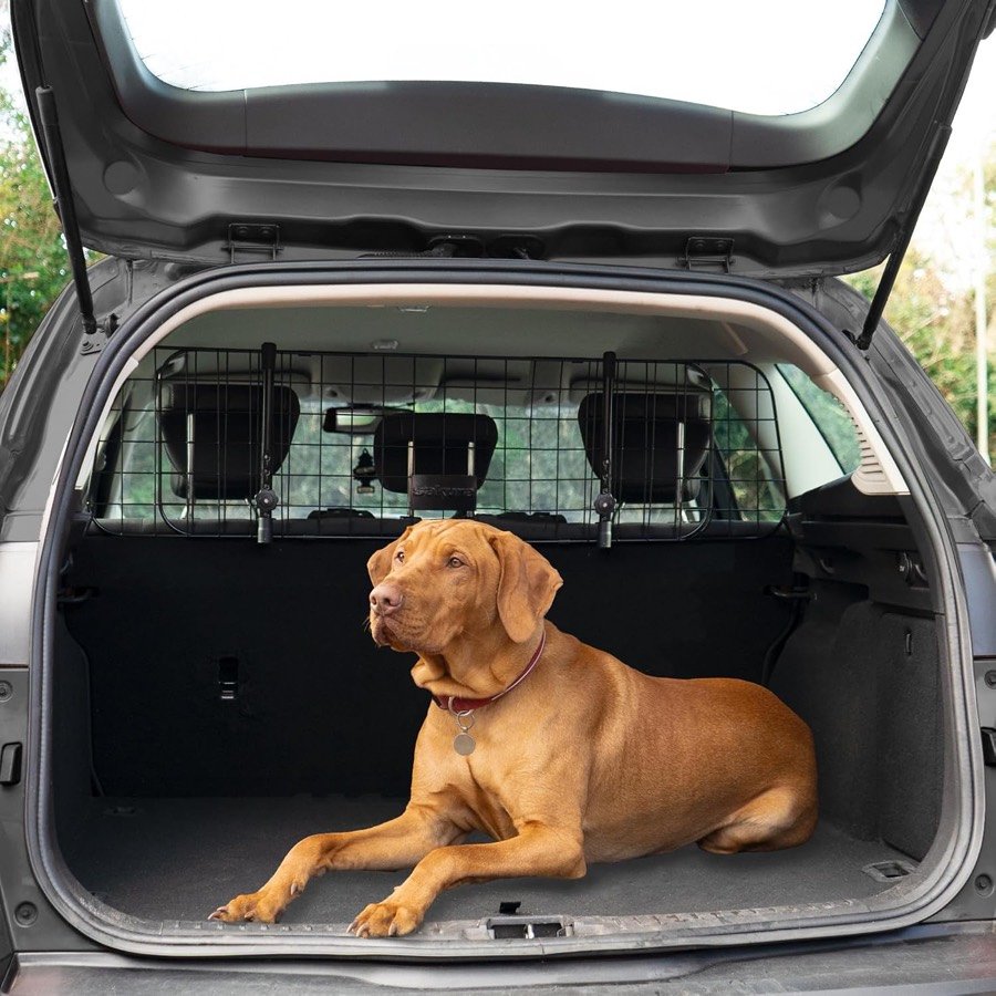 Ver imagen 3 de 6: Perro de caza rojizo tumbado en el maletero de un coche con la rejilla Sakura instalada entre los reposacabezas traseros