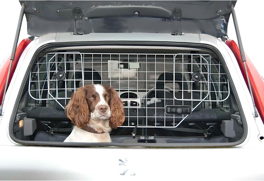 Springer spaniel detrás de la rejilla Speedwellstar plateada, instalada en el maletero abierto de un coche blanco