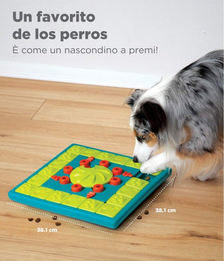 Ver imagen 6 de 6: Perro tricolor olfateando el MultiPuzzle, de 38,1 cm de lado, sobre el suelo de madera