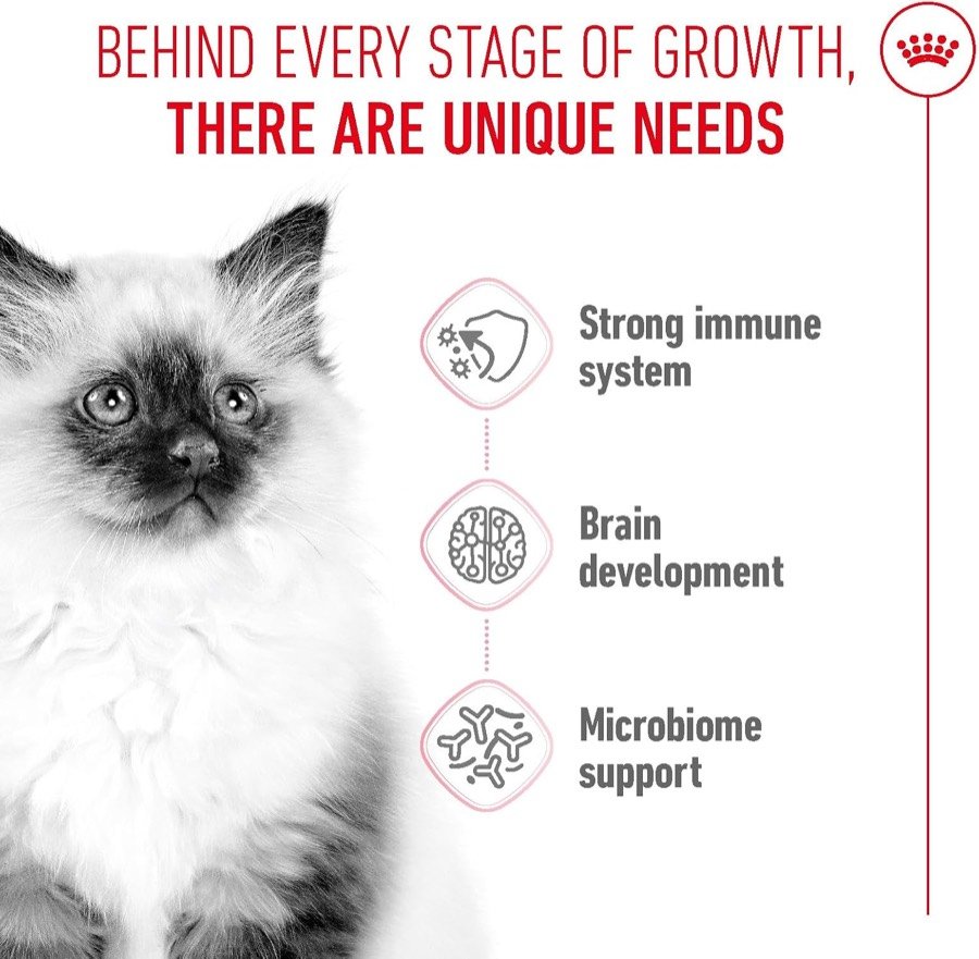 Ver imagen 3 de 6: Los tres frentes que declara cubrir Royal Canin Kitten: sistema inmunitario, desarrollo cerebral y microbioma