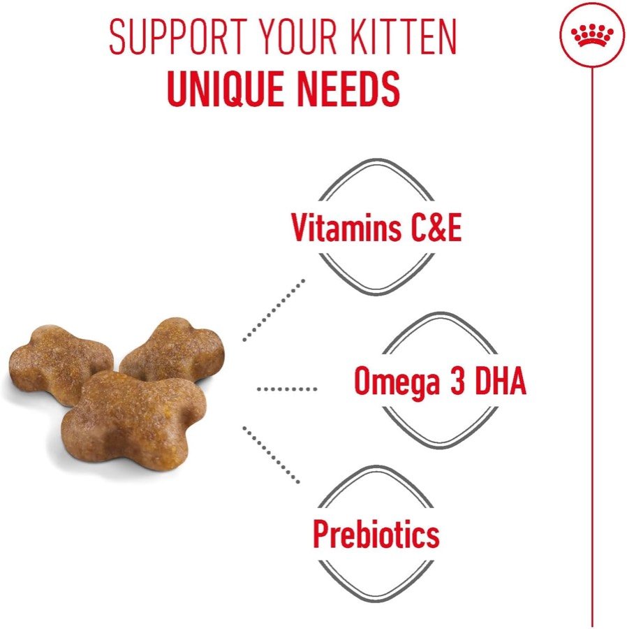 Ver imagen 4 de 6: Croquetas de Royal Canin Kitten junto a las vitaminas C y E, el omega 3 DHA y los prebióticos que declara