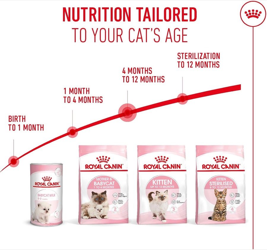Ver imagen 5 de 6: Escalera de productos Royal Canin por edad del gato, del nacimiento a los doce meses y la esterilización