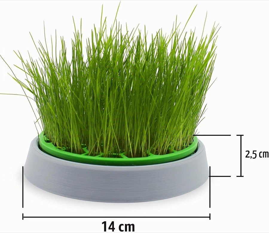 Ver imagen 3 de 6: Cotas de la maceta germinadora R&R Shop: 14 cm de diámetro y 2,5 cm de alto