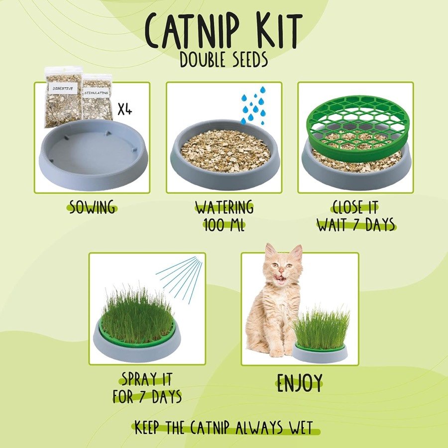 Ver imagen 4 de 6: Los cinco pasos del kit: sembrar, regar con 100 ml, cerrar y esperar siete días, pulverizar y dejar que el gato coma