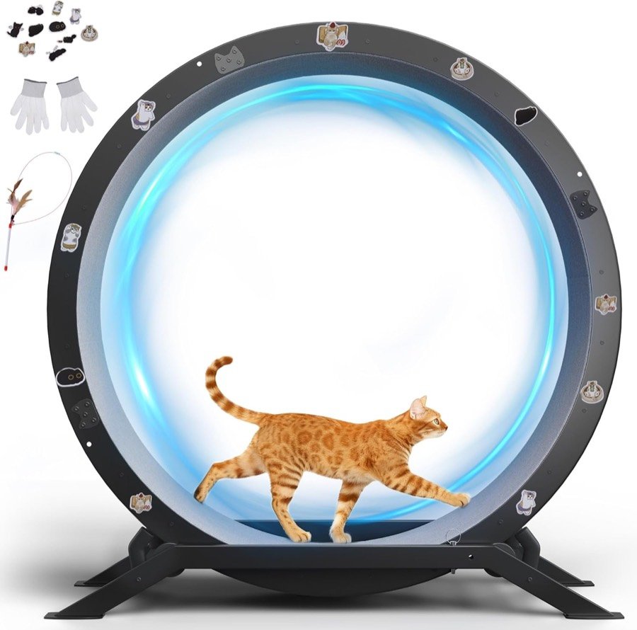Rueda de ejercicio GTPLAYER negra con un gato naranja caminando dentro y los accesorios incluidos