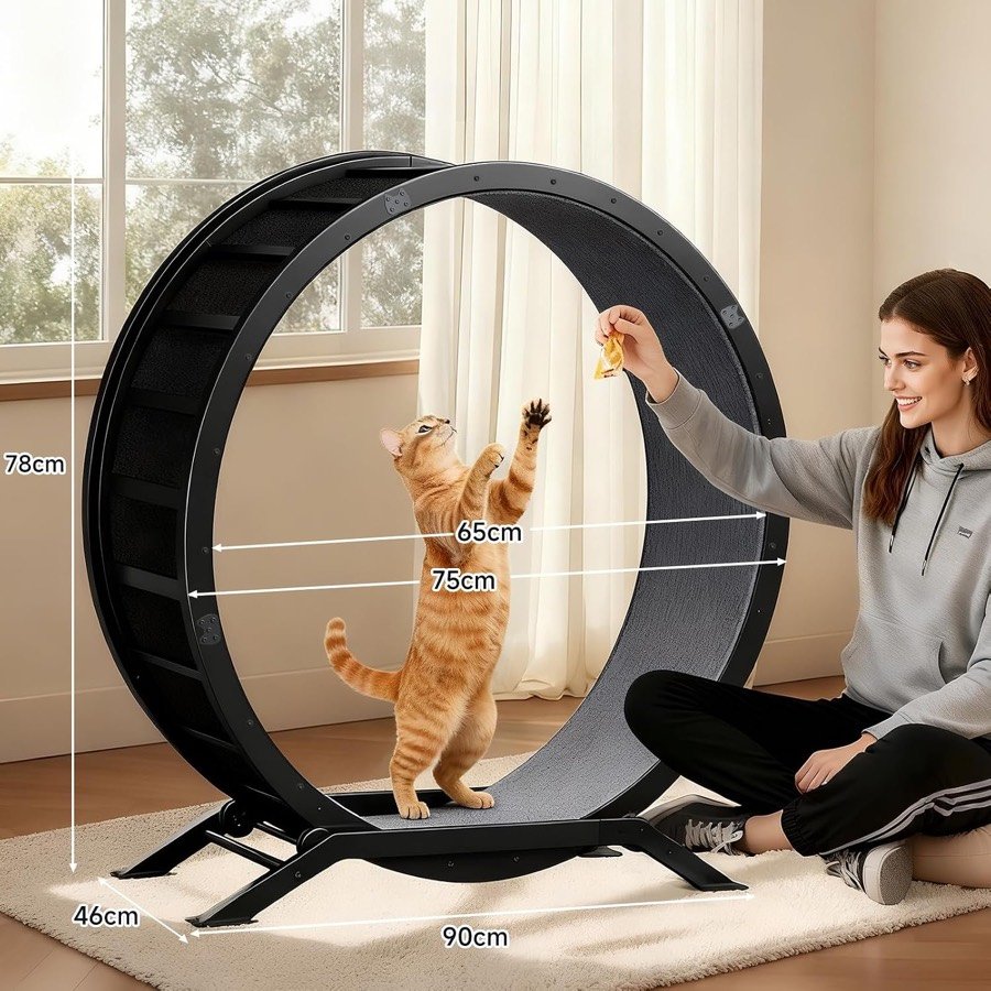 Ver imagen 3 de 6: Mujer enseñando a un gato a usar la rueda con un juguete, con las medidas: 78 cm de alto, 90 cm de largo y 46 cm de fondo