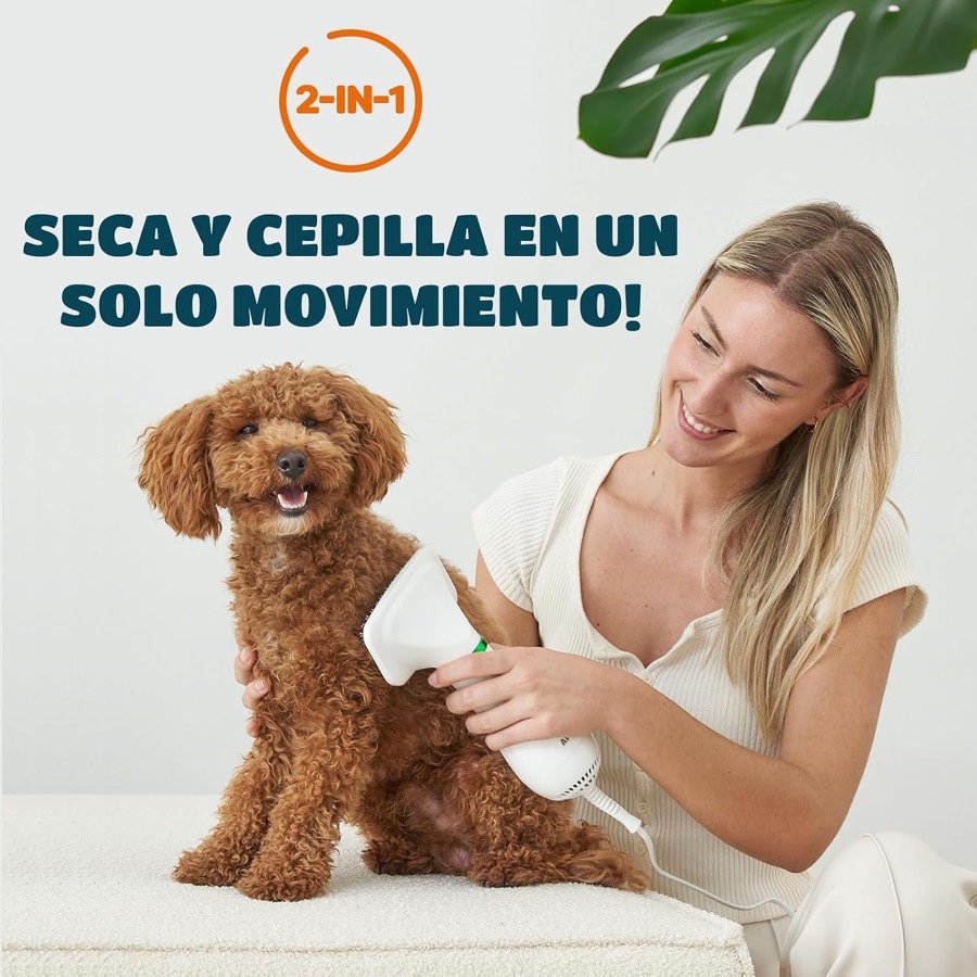 Ver imagen 2 de 6: Mujer secando y cepillando a la vez a un caniche con el KUUBIA 2 en 1