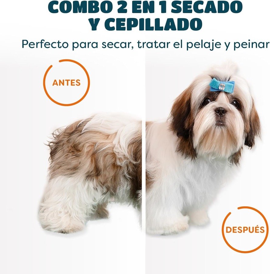 Ver imagen 5 de 6: Shih tzu antes y después del secado y cepillado con el KUUBIA