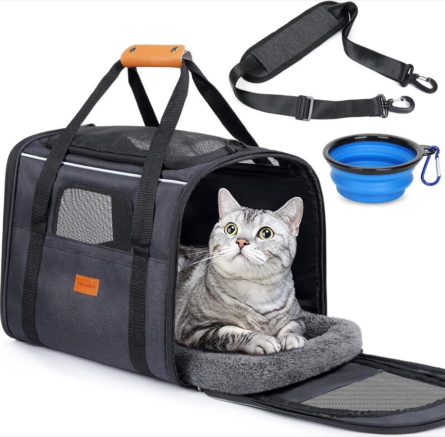 Gato atigrado asomado por la puerta abierta del transportín blando morpilot negro y gris, con la correa de hombro y el cuenco plegable azul