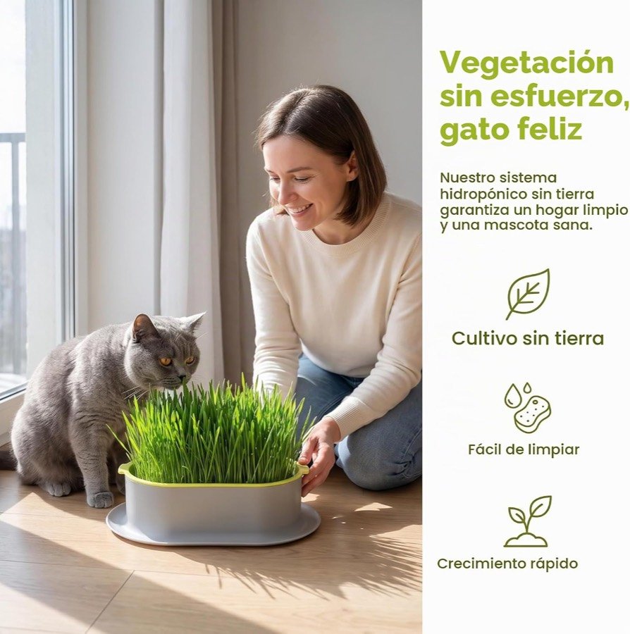 Ver imagen 6 de 6: Una mujer y un gato gris junto a la bandeja de hierba TULEBOLIAN, con los reclamos de cultivo sin tierra y fácil limpieza