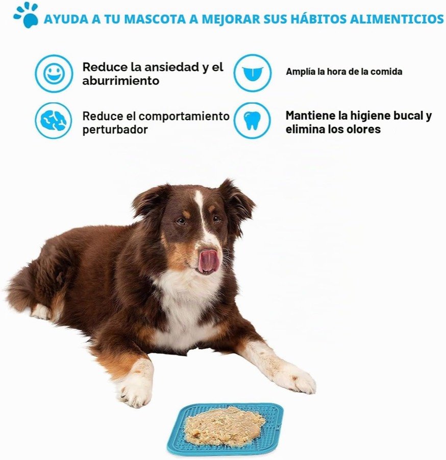 Ver imagen 6 de 6: Border collie tumbado junto a la alfombrilla con los beneficios declarados por el fabricante